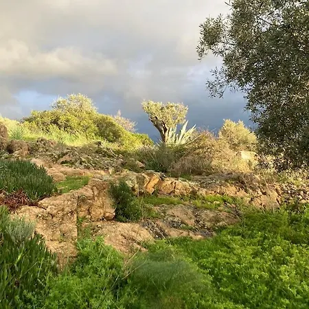 Casa Turrigiani Vila