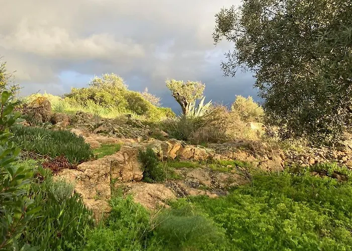 Casa Turrigiani Vila